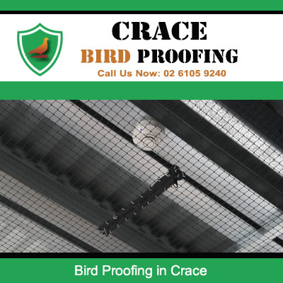 Protective bird proofing mesh installation on house roof preventing nesting in Crace ACT suburb